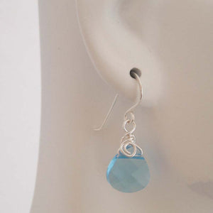 Blue crystals silver dangle earrings